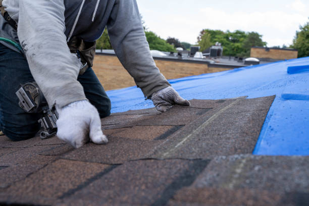 Quick and Trustworthy Emergency Roof Repair Services in North Richmond, CA